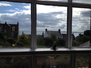 Sea Hollies - Aberdour - 1