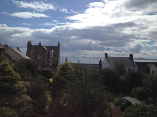 Sea Hollies - Aberdour - 2