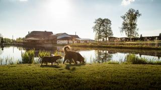 Tawerna Pod Kotwicą pokoje i domy wakacyjne - Kadłub Wolny - 0