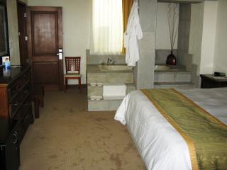 Hotel San Carlos Tequisquiapan - Tequisquiapan - 5