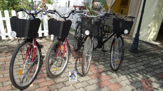 Ivana Holiday Haus - 6