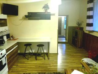 Apartamenty w Karkonoszach - Miłków - 3