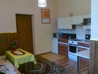 Apartamenty w Karkonoszach - Miłków - 1