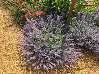 The Old Barn Annexe - 2