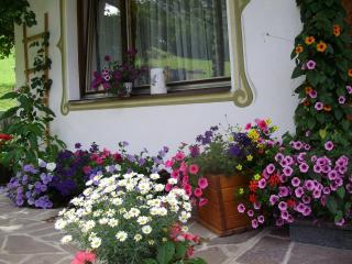 Haus Elisabeth - Berwang - 5