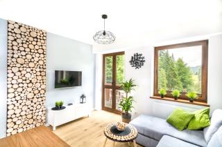 ELuxuria GREEN HlLL Apartment przy stoku narciarskim OZONOWANY - Krynica-Zdrój - 8