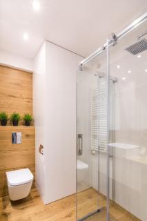 ELuxuria GREEN HlLL Apartment przy stoku narciarskim OZONOWANY - Krynica-Zdrój - 3