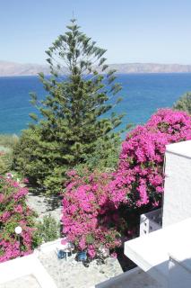 Delfini Apartments - Kissamos - 8