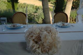 Agriturismo Tenuta Sol Alto - Monsampolo del Tronto - 4
