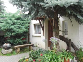 Lovely Home In Heideblick With Kitchen - Langengrassau - 9