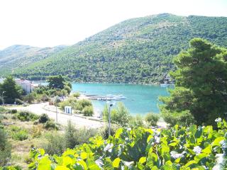 Apartmani Grebastica - Grebaštica - 5