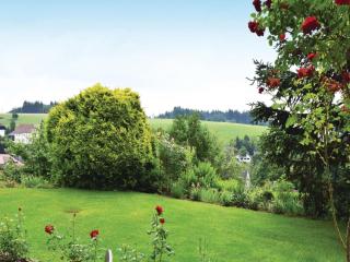 Amazing Apartment In Rickenbach - 5
