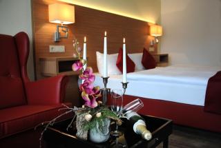 Parkhotel Forsthaus - Tharandt - 1