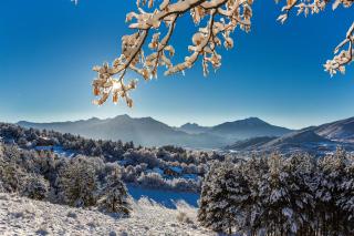 Chalet Carpe Diem - 4