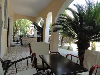 Apartments 110 in Budva - 4