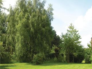 Holiday Home Løvsangervej Dronningmølle Iii - 9