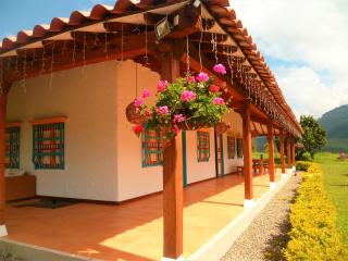 Patio Bonito - Jardin - 8