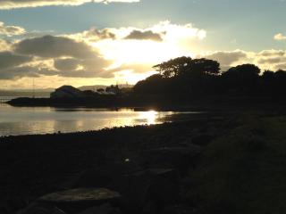 The Hide - Newtownards - 3