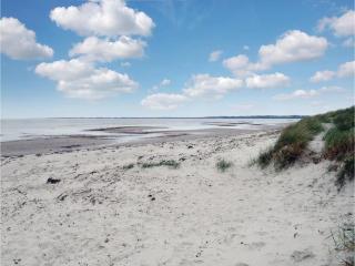 Holiday Home Lyngvej Vig Ii - Vig - 3