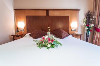 Hotel Bardo Recoletos Coco - Salamanca - 8