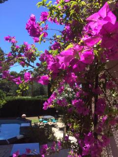 Sea View Villa - Antibes - Beach - Pool - Art Deco - Antibes - 1