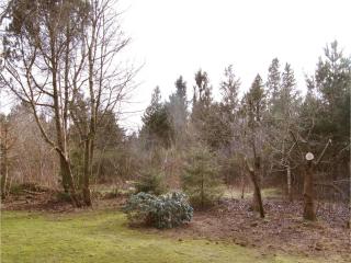 Holiday Home Eneb - Dagstrup - 5