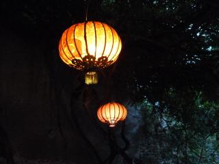 Le Jardin Andrinople - Richelieu - 5