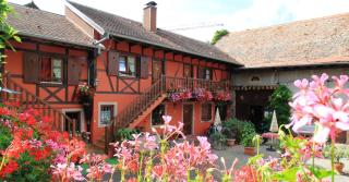 Chambres d'Hôtes Chez Mado Ottrott - Ottrott - 0
