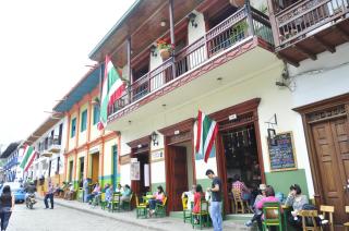 Hotel Valdivia Plaza - Jardin - 3