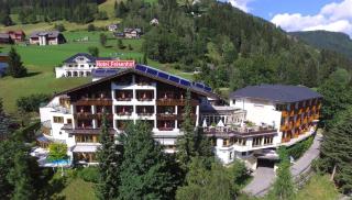 Wohlfühl & Genusshotel Felsenhof - Bad Kleinkirchheim - 8