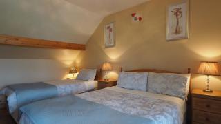 Stonehaven B&B - Ennis - 5