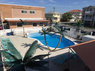 Dolphin Inn - 6