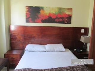 Hotel Del Parque - Guadalajara - 4
