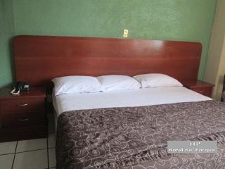 Hotel Del Parque - Guadalajara - 3