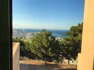 Ouzo Panoramic Houses 1, with private pool - Plomari - 1