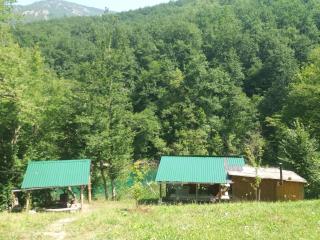 Country house Tara Orasac - 5