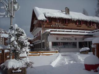 Le Chalet Suisse - Valberg - 3