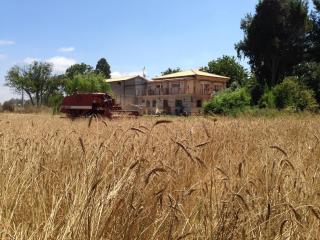 Don Carlo Agriturismo di Charme Bio - 2