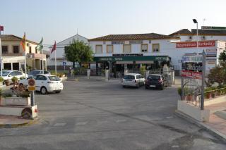 Hostal Andalucia de Arcos - Arcos de la Frontera - 0