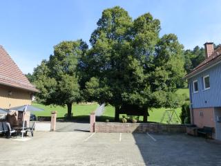 Ferienwohnungen Zur Mühle - Mossautal - 8
