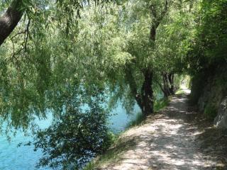 Apartma Jezero - 8