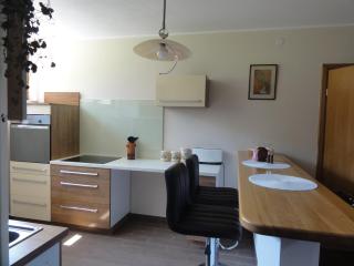 Apartma Jezero - 1