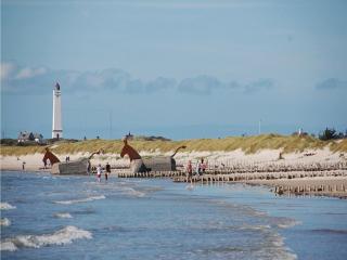Holiday Home Søren Gades Mark Blåvand Vi - Blåvand - 9