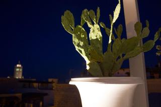 Muragie del Castello B&B - Trani - 7