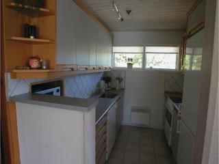 Kiwi - Blåvand - 2