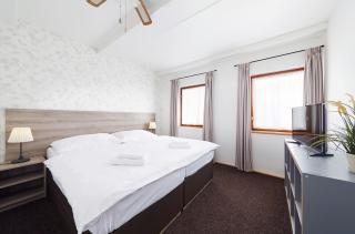 Ski Hotel Svoboda nad Úpou - Svoboda nad Úpou - 9