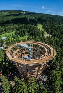 Ski Hotel Svoboda nad Úpou - Svoboda nad Úpou - 4