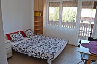 Studio Alex - Poiana Brașov - 5