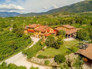 Azienda Agricola Campion - Valdobbiadene - 8