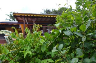 L'Ecomusee créole de la Guadeloupe - 7